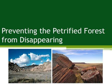 Preventing the Petrified Forest from Disappearing.