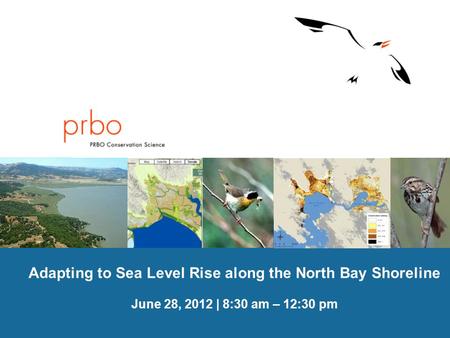 PRBO Conservation Science Adapting to Sea Level Rise along the North Bay Shoreline June 28, 2012 | 8:30 am – 12:30 pm.