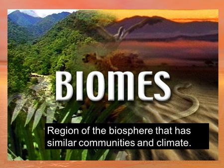 Region of the biosphere that has similar communities and climate.