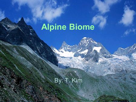 Alpine Biome By: T. Kim.
