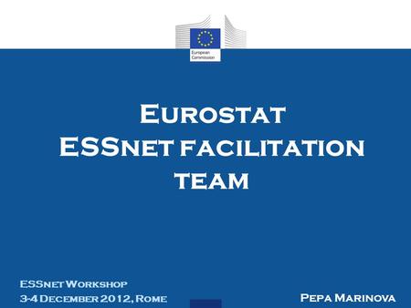 Eurostat ESSnet facilitation team ESSnet Workshop 3-4 December 2012, Rome Pepa Marinova.