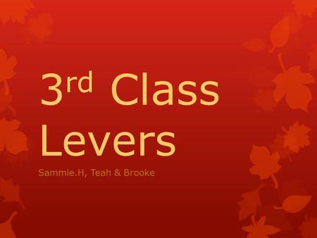 3rd Class Levers Sammie.H, Teah & Brooke.
