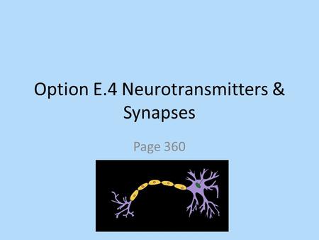 Option E.4 Neurotransmitters & Synapses