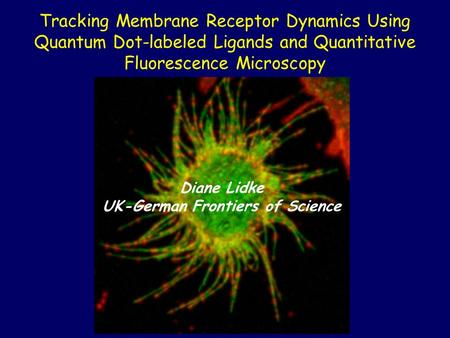 Tracking Membrane Receptor Dynamics Using Quantum Dot-labeled Ligands and Quantitative Fluorescence Microscopy Diane Lidke UK-German Frontiers of Science.