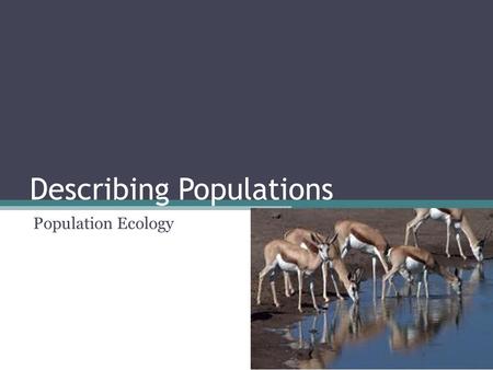 Describing Populations Population Ecology. POPULATION Individuals of the same species living in a particular area Population size, density, distribution.