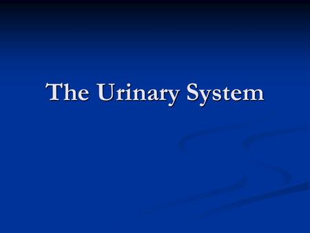 The Urinary System. As your body performs the chemical activities that keeps you alive, wastes material such as carbon dioxide and nitrogen are produced.