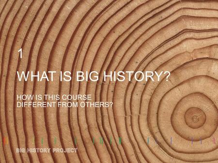 WHAT IS BIG HISTORY? HOW IS THIS COURSE DIFFERENT FROM OTHERS? 1.