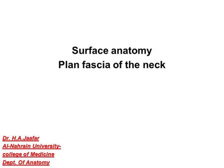 Surface anatomy Plan fascia of the neck