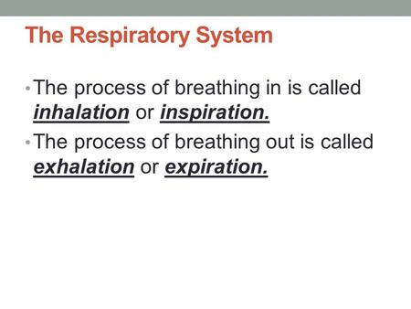 The Respiratory System The process of breathing in is called inhalation or inspiration. The process of breathing out is called exhalation or expiration.