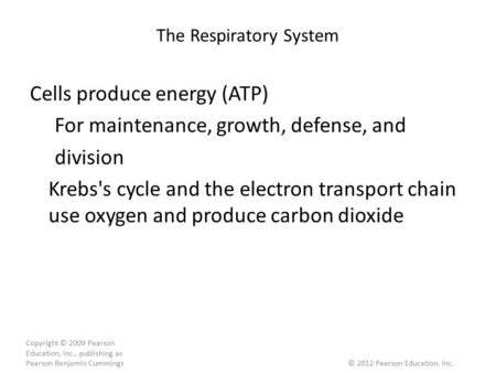The Respiratory System Cells produce energy (ATP) For maintenance, growth, defense, and division Krebs's cycle and the electron transport chain use oxygen.