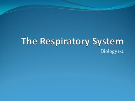 Biology 1-2. Respiration The respiratory system handles gas exchange between the body and the environment. Brings in oxygen and removes carbon dioxide.