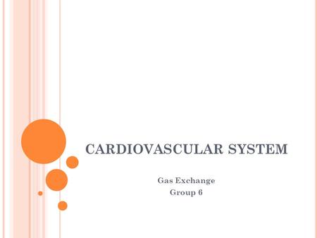CARDIOVASCULAR SYSTEM Gas Exchange Group 6. GAS EXCHANGE Gas exchange occurs in the lungs in the alveoli The alveoli are tiny sacs in the lungs that are.