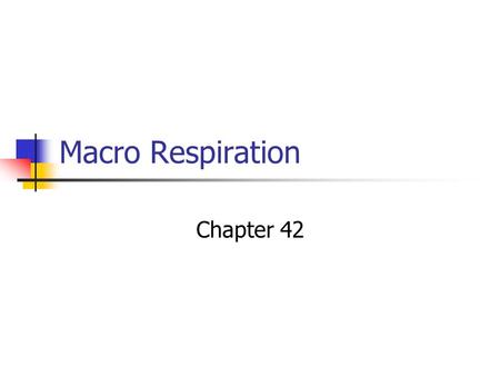 Macro Respiration Chapter 42.