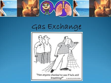 Gas Exchange. How does the air in our mouth differ from the air in our alveoli?