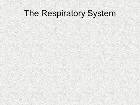 The Respiratory System. Respiratory System Organs of the Respiratory System Upper respiratory system –Nose, nasal cavity, pharynx, glottis and larynx.