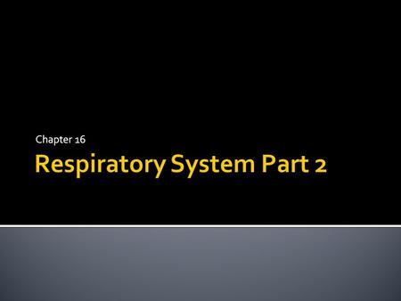 Chapter 16.  Ventilation includes:  Inspiration (inhalation)  Expiration (exhalation)