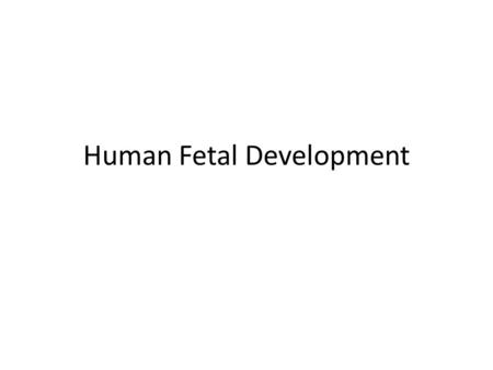 Human Fetal Development. Chicken Pig Turtle Human.