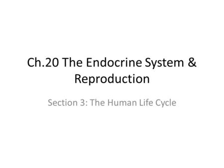 Ch.20 The Endocrine System & Reproduction Section 3: The Human Life Cycle.