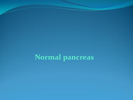 Normal pancreas.