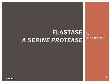 By: Dario Marotta 10/23/2014 1 ELASTASE A SERINE PROTEASE.
