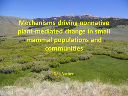 Mechanisms driving nonnative plant-mediated change in small mammal populations and communities Dan Bachen.