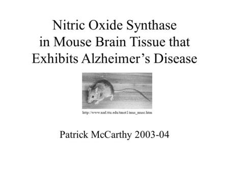 Nitric Oxide Synthase in Mouse Brain Tissue that Exhibits Alzheimer’s Disease Patrick McCarthy 2003-04