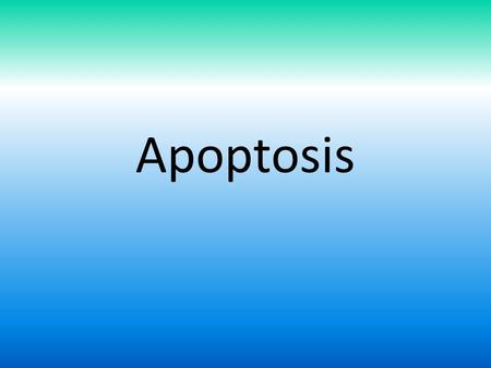 Apoptosis. Apoptosis (Programmed Cell Death)  Cells are not immortal.  Cells can only undergo a limited number of cell division:  usually about 50.
