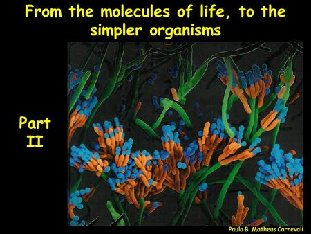 From the molecules of life, to the simpler organisms Paula B. Matheus Carnevali Part II.