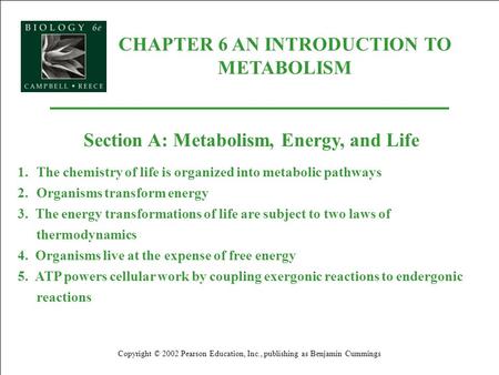 CHAPTER 6 AN INTRODUCTION TO METABOLISM Copyright © 2002 Pearson Education, Inc., publishing as Benjamin Cummings Section A: Metabolism, Energy, and Life.