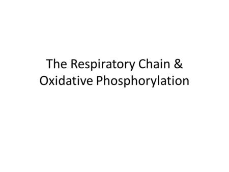 The Respiratory Chain & Oxidative Phosphorylation.
