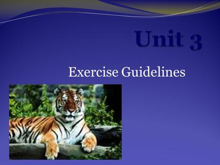 Exercise Guidelines. Objectives 1. Understand what clothing considerations should be made before exercising 2. Learn what precautions to take when exercising.