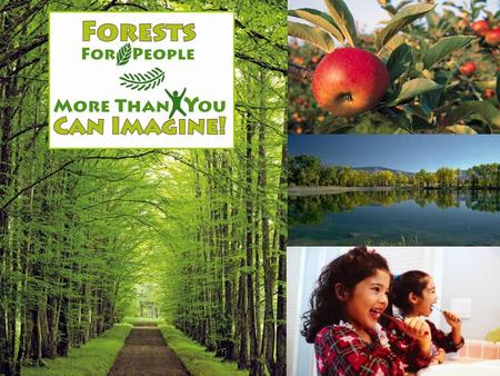 Forests For People More Than You Can Imagine! National Association of Conservation Districts (NACD) 2011 2011 Poster Contest Theme And Stewardship Theme.