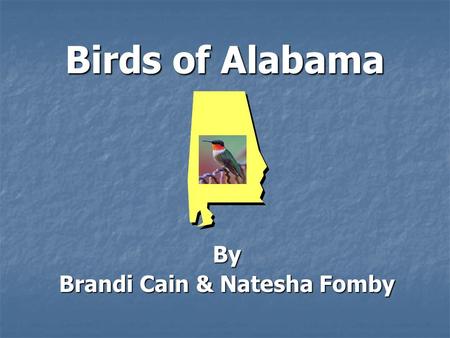 Birds of Alabama By Brandi Cain & Natesha Fomby. The Yellow Hammer TTTThe Yellow Hammer is the State bird. IIIIt can climb up the trunks of trees.