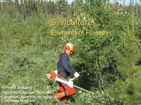 Silviculture Elements of Forestry Kenneth Williams