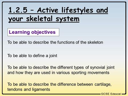 1.2.5 – Active lifestyles and your skeletal system Learning objectives To be able to describe the functions of the skeleton To be able to define a joint.