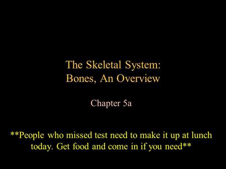 The Skeletal System: Bones, An Overview