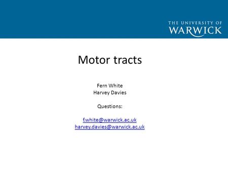 Motor tracts Fern White Harvey Davies Questions: