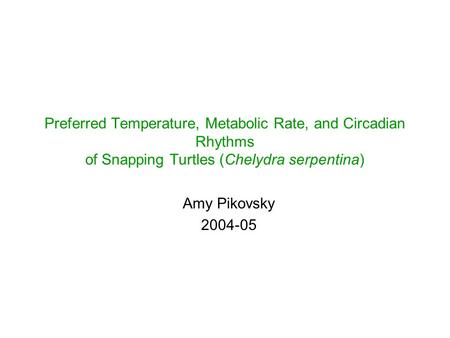 Preferred Temperature, Metabolic Rate, and Circadian Rhythms of Snapping Turtles (Chelydra serpentina) Amy Pikovsky 2004-05.