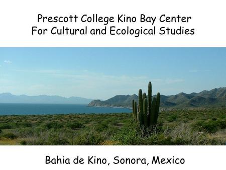 Prescott College Kino Bay Center For Cultural and Ecological Studies Bahia de Kino, Sonora, Mexico.