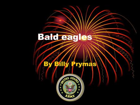 Bald eagles By Billy Prymas. Introduction The bald eagles feet are the most important tools used to eat. The bald eagle is what I chose to research. I.