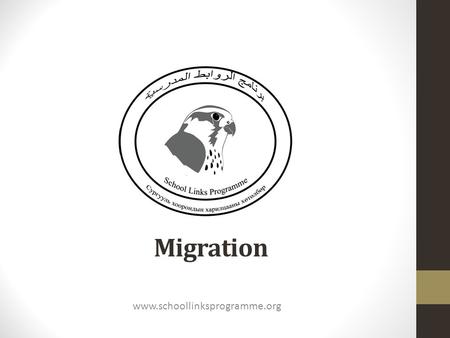 Migration www.schoollinksprogramme.org.