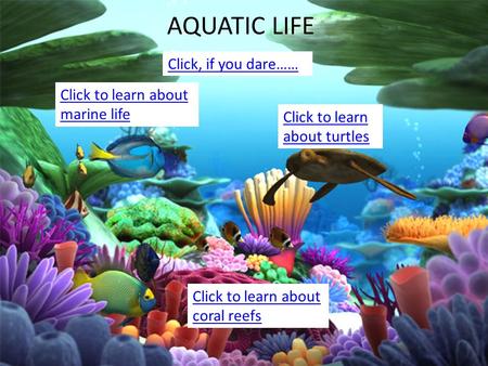 Hrthtrt AQUATIC LIFE Click to learn about turtles Click to learn about marine life Click to learn about coral reefs Click, if you dare……