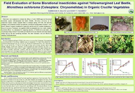 Field Evaluation of Some Biorational Insecticides against Yellowmargined Leaf Beetle, Microtheca ochloroma (Coleoptera: Chrysomelidae) in Organic Crucifer.