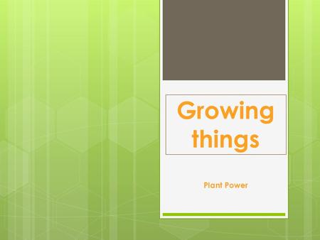 Growing things Plant Power. WALT: Getting started: 1/3  In your topic study book  Date What do I know about plants/flower.