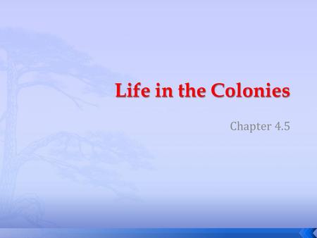 Life in the Colonies Chapter 4.5.
