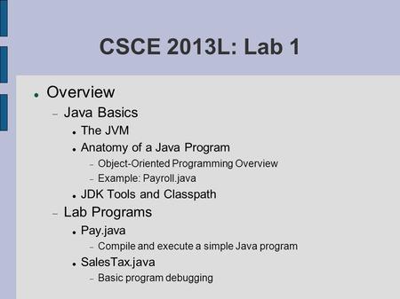 CSCE 2013L: Lab 1 Overview  Java Basics The JVM Anatomy of a Java Program  Object-Oriented Programming Overview  Example: Payroll.java JDK Tools and.