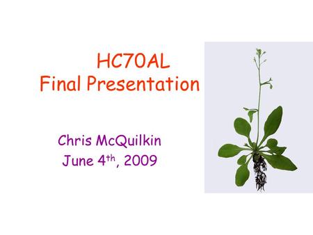 HC70AL Final Presentation Chris McQuilkin June 4 th, 2009.