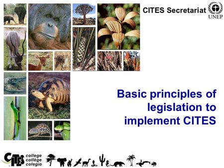 1 Basic principles of legislation to implement CITES CITES Secretariat.