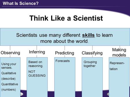 What Is Science? Think Like a Scientist Scientists use many different skills to learn more about the world. Observing Inferring PredictingClassifying Making.