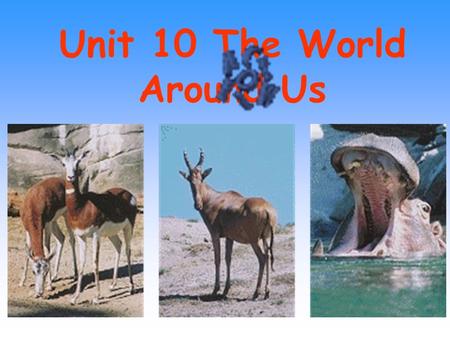 Unit 10 The World Around Us 1. use…for/as/to do 3. endanger 6. take turns (at/in) doing sth 2. in danger/ out of danger 5. die out 4. make sure eg: The.